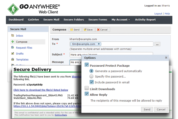 Browser-based GoAnywhere web client for secure file transfer